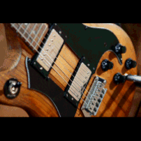 guitar_parts_uk090004.gif